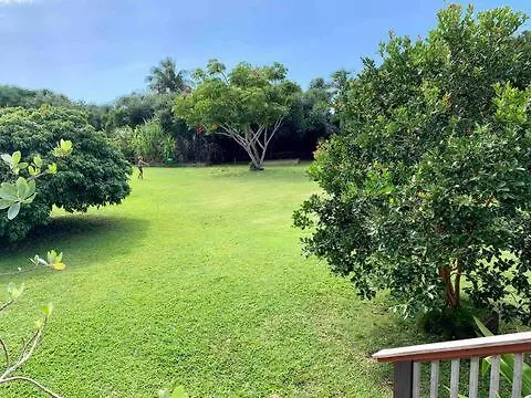 Apartment North Shore Garden Suite Haleiwa USA